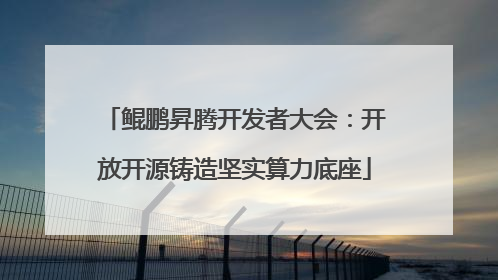 鲲鹏昇腾开发者大会：开放开源铸造坚实算力底座