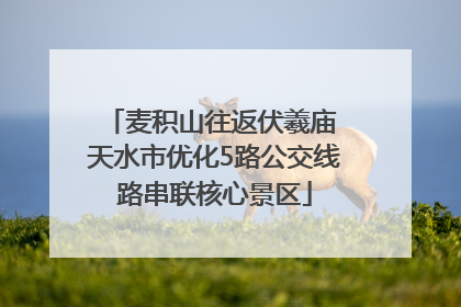 麦积山往返伏羲庙 天水市优化5路公交线路串联核心景区
