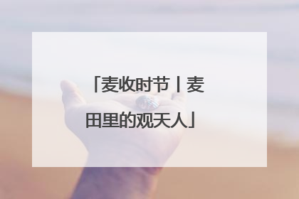 麦收时节丨麦田里的观天人