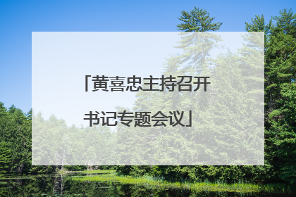 黄喜忠主持召开书记专题会议