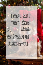 黄海之滨“数”立潮头——盐城数字经济崛起进行时