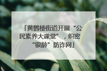 黄鹤楼街道开展“公民素养大课堂”，织密“银龄”防诈网