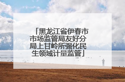 黑龙江省伊春市市场监管局友好分局上甘岭所强化民生领域计量监管