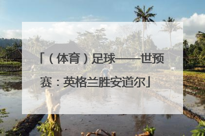 （体育）足球——世预赛：英格兰胜安道尔