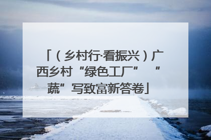 （乡村行·看振兴）广西乡村“绿色工厂” “蔬”写致富新答卷