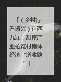 （乡村行·看振兴）江西九江：甜蜜产业拓宽村集体经济“增收路”