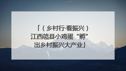 （乡村行·看振兴）江西赣县小鸡蛋“孵”出乡村振兴大产业
