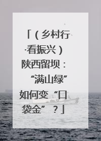 （乡村行·看振兴）陕西留坝：“满山绿”如何变“口袋金”？
