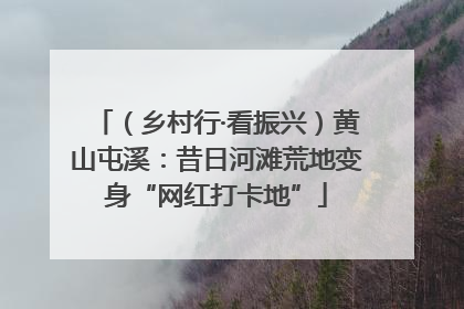 （乡村行·看振兴）黄山屯溪：昔日河滩荒地变身“网红打卡地”