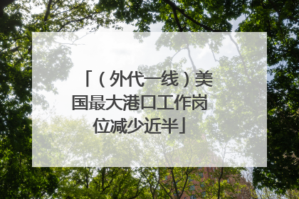 （外代一线）美国最大港口工作岗位减少近半