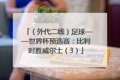 （外代二线）足球——世界杯预选赛：比利时胜威尔士（3）