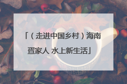 （走进中国乡村）海南疍家人 水上新生活