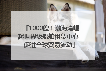 1000艘！渤海湾崛起世界级船舶租赁中心 促进全球贸易流动