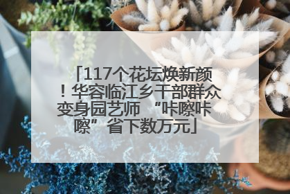 117个花坛焕新颜！华容临江乡干部群众变身园艺师 “咔嚓咔嚓”省下数万元