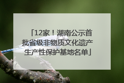 12家！湖南公示首批省级非物质文化遗产生产性保护基地名单
