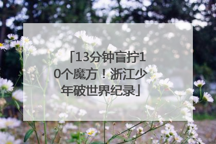 13分钟盲拧10个魔方！浙江少年破世界纪录