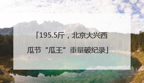 195.5斤，北京大兴西瓜节“瓜王”重量破纪录