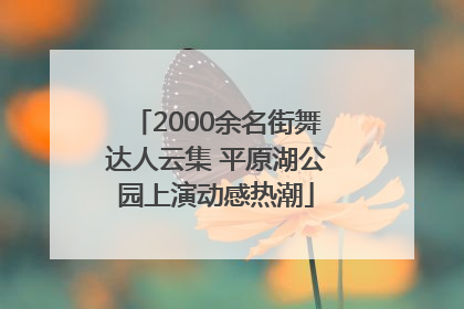 2000余名街舞达人云集 平原湖公园上演动感热潮