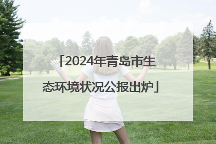 2024年青岛市生态环境状况公报出炉