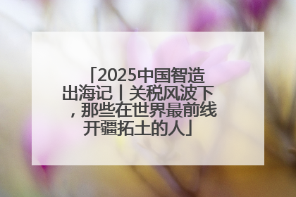 2025中国智造出海记丨关税风波下，那些在世界最前线开疆拓土的人