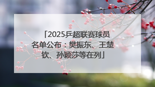 2025乒超联赛球员名单公布：樊振东、王楚钦、孙颖莎等在列