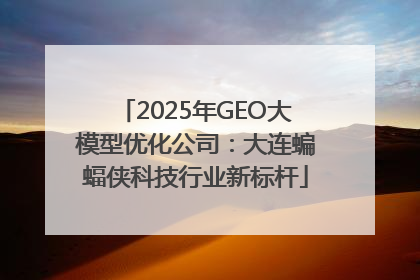 2025年GEO大模型优化公司：大连蝙蝠侠科技行业新标杆
