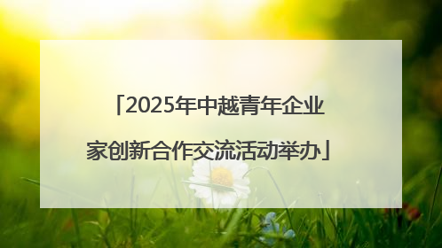 2025年中越青年企业家创新合作交流活动举办