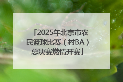 2025年北京市农民篮球比赛（村BA）总决赛燃情开赛