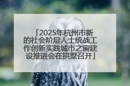2025年杭州市新的社会阶层人士统战工作创新实践城市之窗建设推进会在拱墅召开