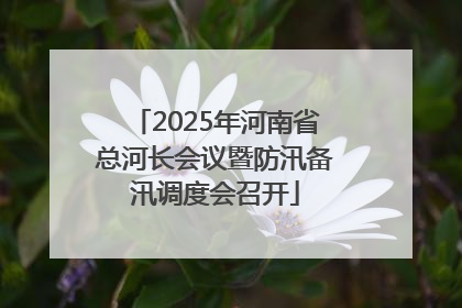 2025年河南省总河长会议暨防汛备汛调度会召开