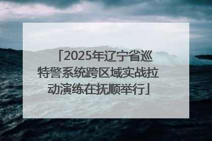 2025年辽宁省巡特警系统跨区域实战拉动演练在抚顺举行