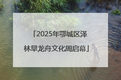 2025年鄂城区泽林旱龙舟文化周启幕
