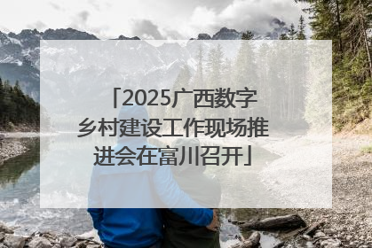 2025广西数字乡村建设工作现场推进会在富川召开
