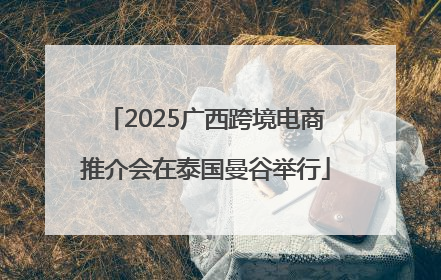 2025广西跨境电商推介会在泰国曼谷举行