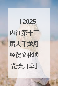 2025内江第十三届大千龙舟经贸文化博览会开幕