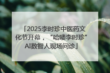2025李时珍中医药文化节开幕，“哈喽李时珍”AI数智人现场问诊