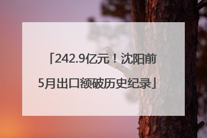 242.9亿元！沈阳前5月出口额破历史纪录