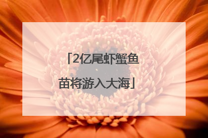 2亿尾虾蟹鱼苗将游入大海