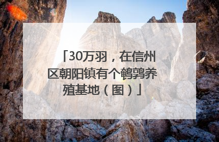 30万羽，在信州区朝阳镇有个鹌鹑养殖基地（图）