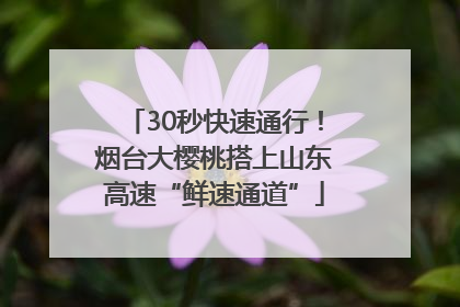 30秒快速通行！烟台大樱桃搭上山东高速“鲜速通道”