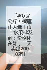 40元/公斤！榴莲正大量上市！水果批发商：价格还在降，一天卖出2000箱