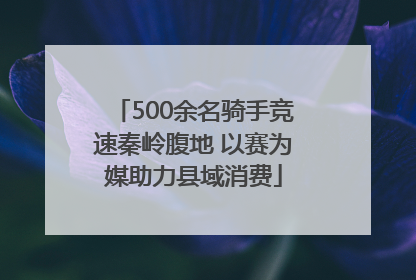 500余名骑手竞速秦岭腹地 以赛为媒助力县域消费