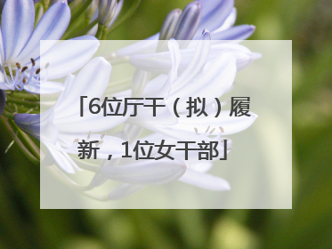 6位厅干（拟）履新，1位女干部