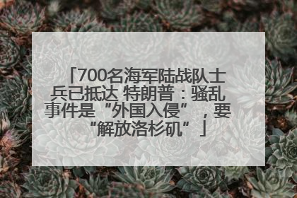 700名海军陆战队士兵已抵达 特朗普：骚乱事件是“外国入侵”，要“解放洛杉矶”