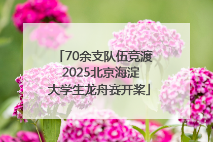 70余支队伍竞渡 2025北京海淀大学生龙舟赛开桨