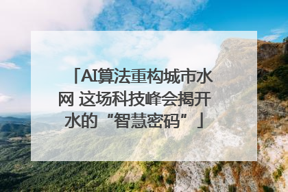 AI算法重构城市水网 这场科技峰会揭开水的“智慧密码”