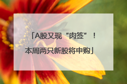 A股又现“肉签”！本周两只新股将申购