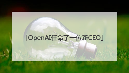 OpenAI任命了一位新CEO