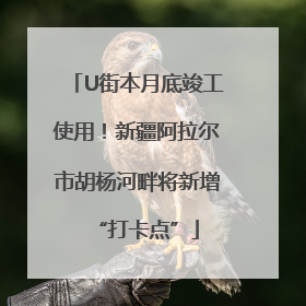 U街本月底竣工使用！新疆阿拉尔市胡杨河畔将新增“打卡点”
